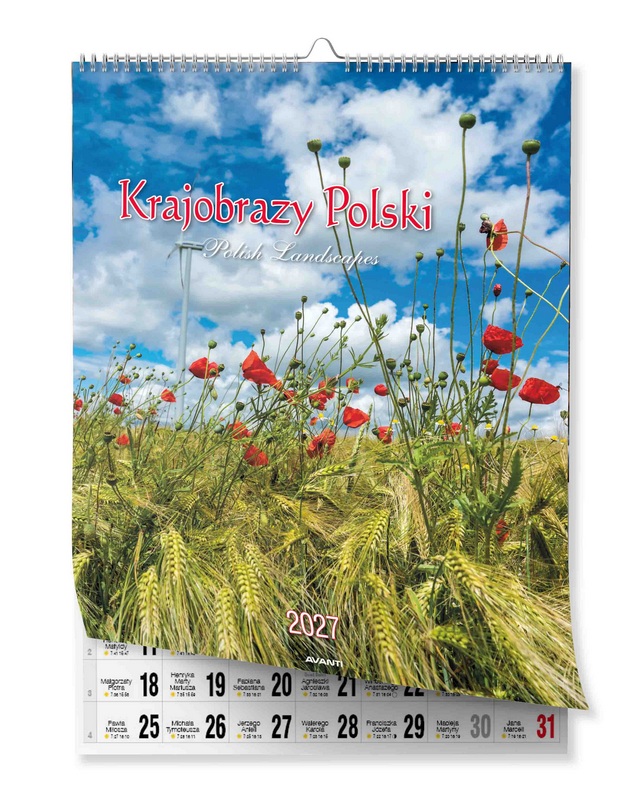 Kalendarz ścienny mały spirala KSMS-1 Kraj PL Avanti